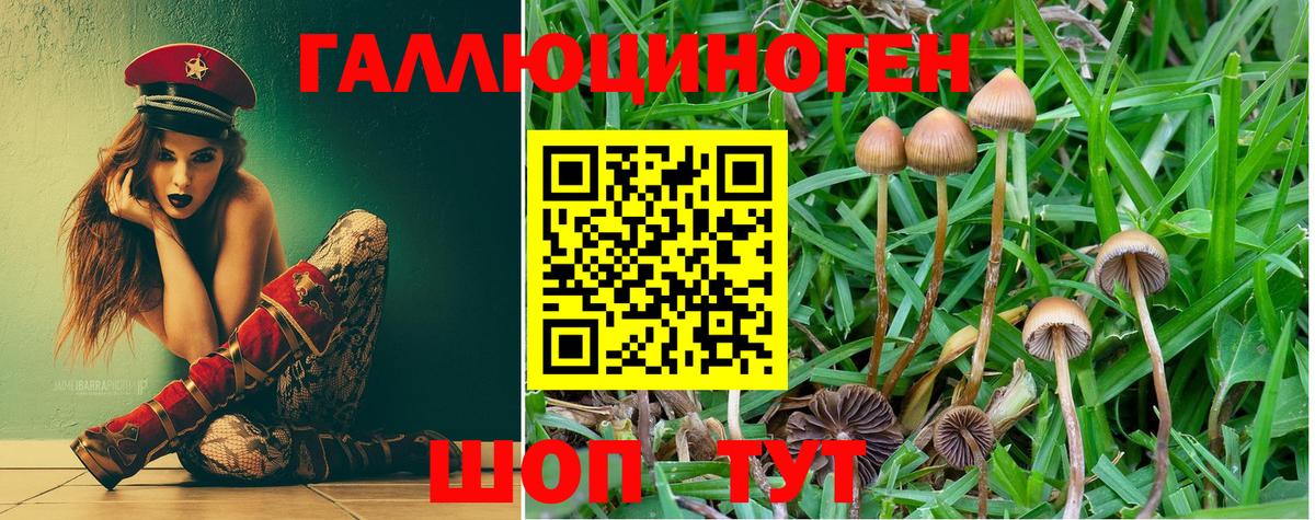 Галлюциногенные грибы прущие грибы Кушва